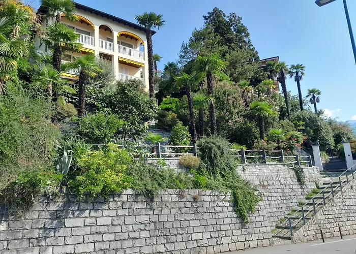 Dora Attika By Fewotessin * 로카르노